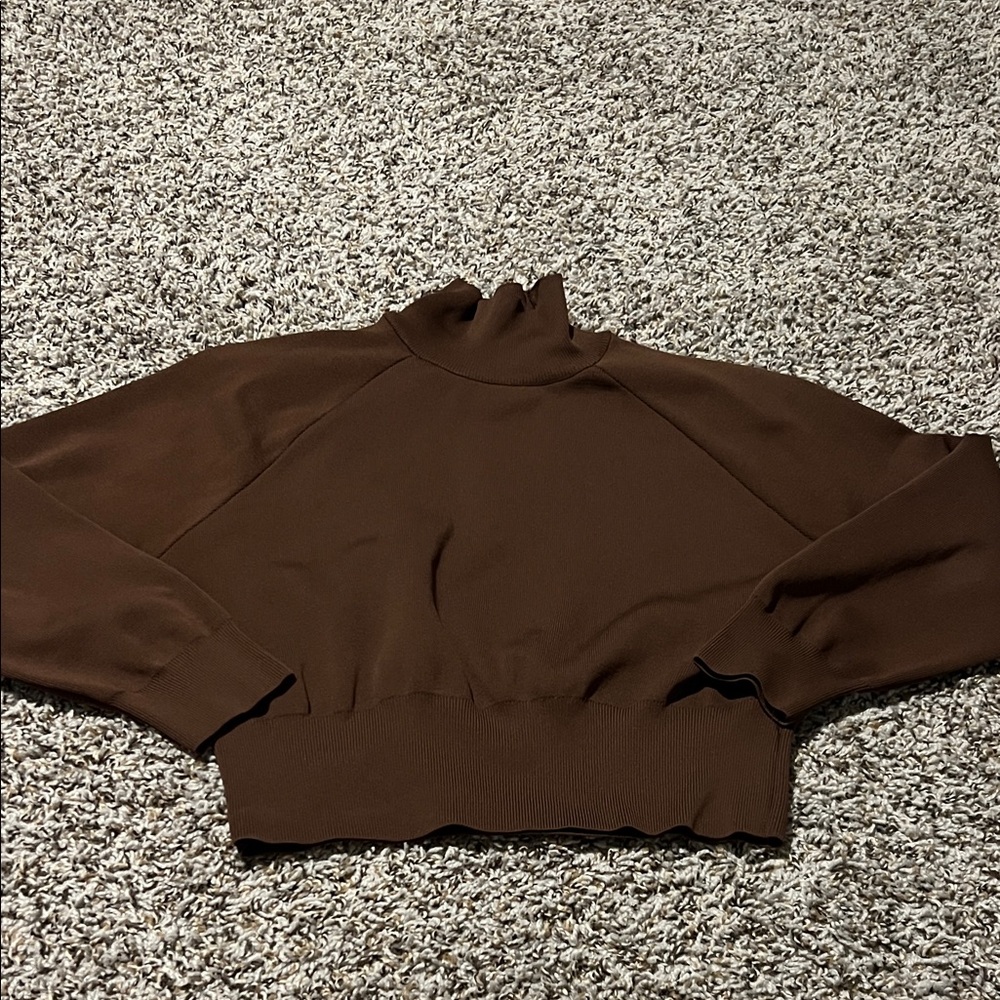 Zara Turtle Neck Crop Sweater